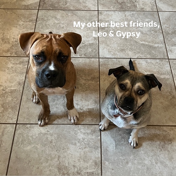 Meet your Posh Ambassador - Picture 7 of 10